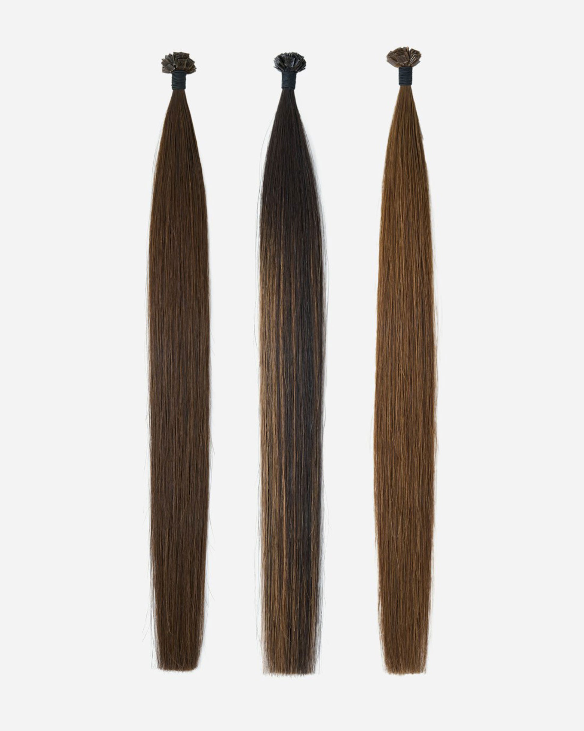 Rich Brunette Bundle